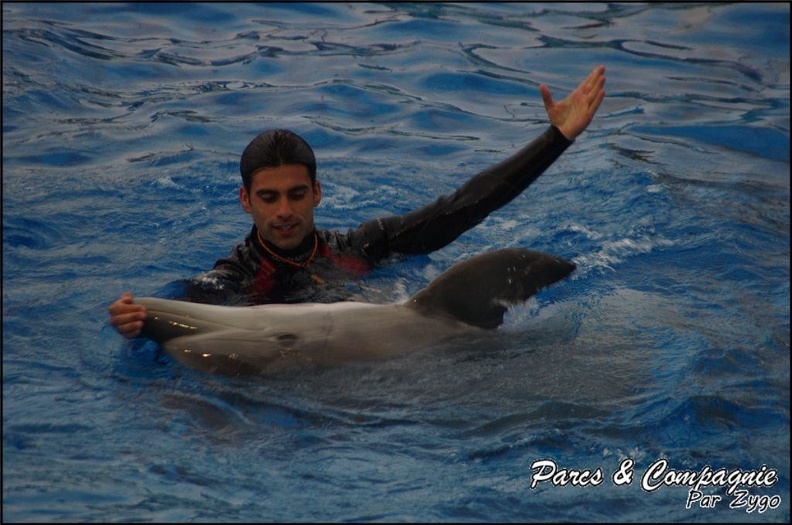 Marineland - Dauphins - Spectacle 17h15 - 043