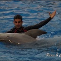 Marineland - Dauphins - Spectacle 17h15 - 044