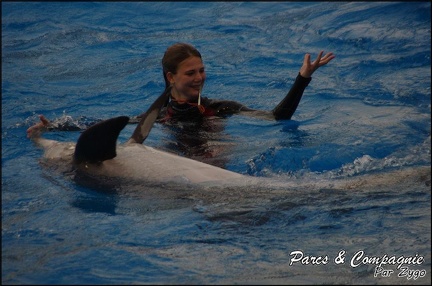 Marineland - Dauphins - Spectacle 17h15 - 045