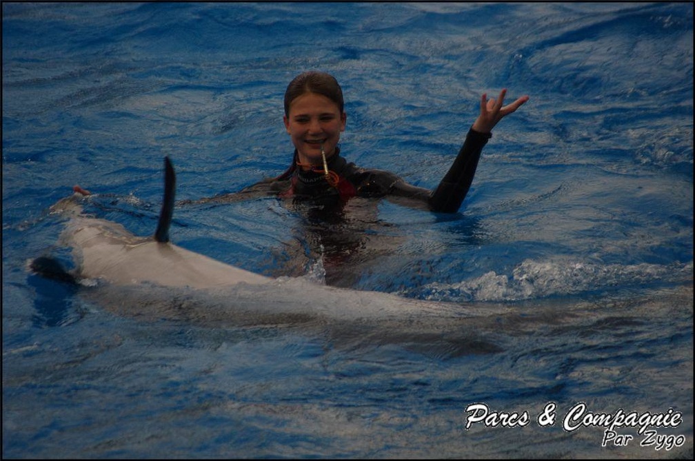 Marineland - Dauphins - Spectacle 17h15 - 046