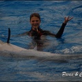 Marineland - Dauphins - Spectacle 17h15 - 046