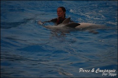 Marineland - Dauphins - Spectacle 17h15 - 047