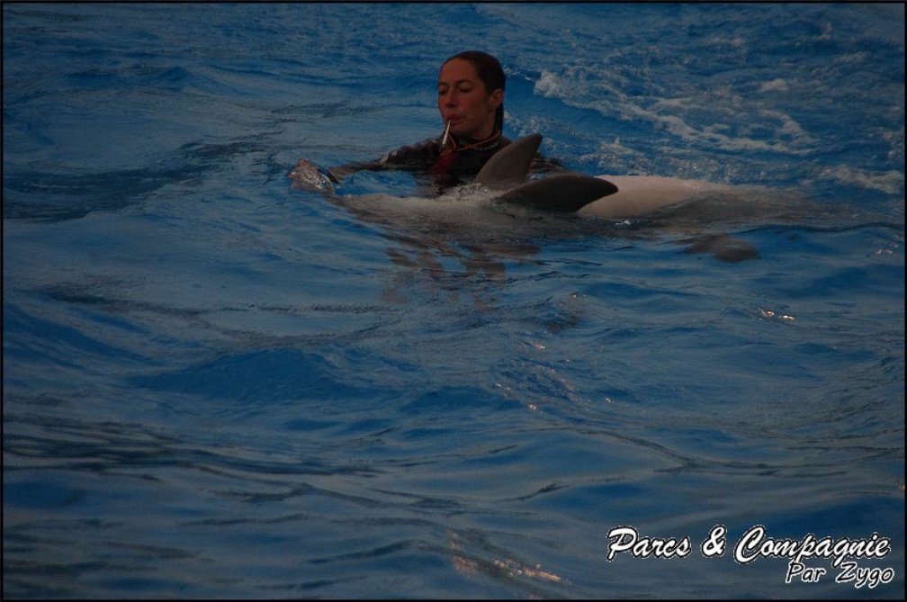 Marineland - Dauphins - Spectacle 17h15 - 047