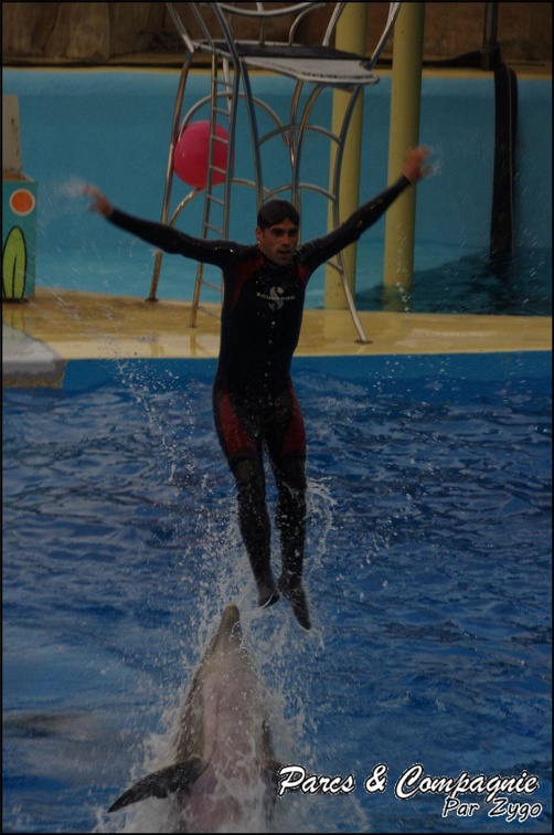 Marineland - Dauphins - Spectacle 17h15 - 048