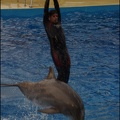 Marineland - Dauphins - Spectacle 17h15 - 049