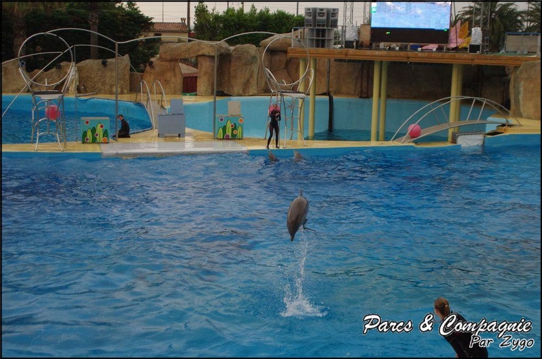 Marineland - Dauphins - Spectacle 17h15 - 050