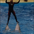 Marineland - Dauphins - Spectacle 17h15 - 057