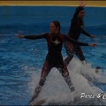 Marineland - Dauphins - Spectacle 17h15 - 062