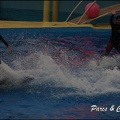 Marineland - Dauphins - Spectacle 17h15 - 063