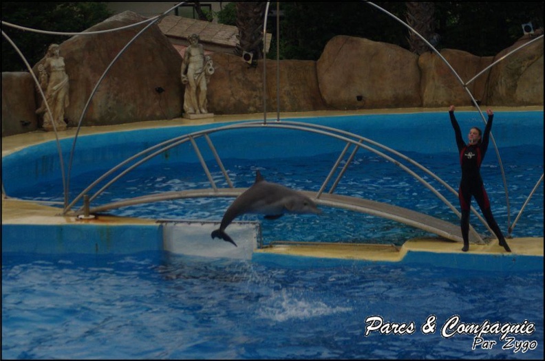 Marineland - Dauphins - Spectacle 17h15 - 065