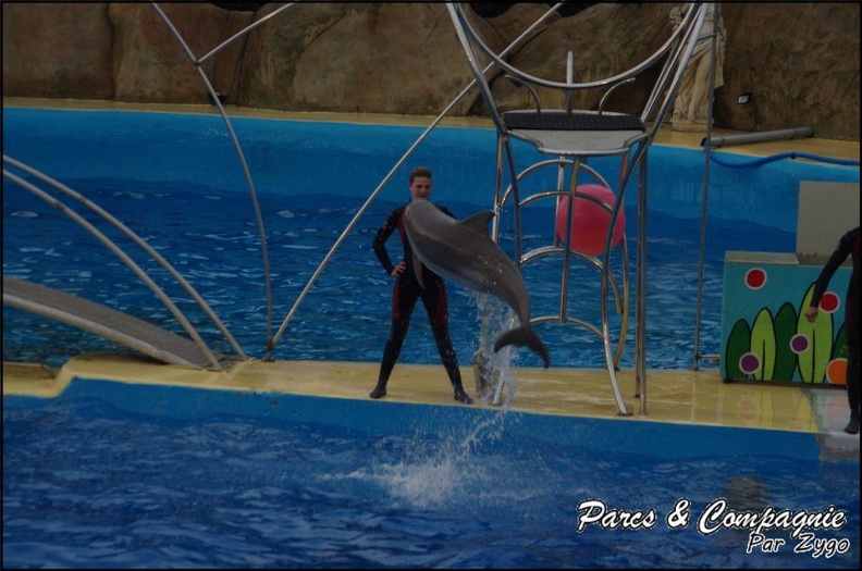Marineland - Dauphins - Spectacle 17h15 - 070