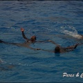 Marineland - Dauphins - Spectacle 17h15 - 075