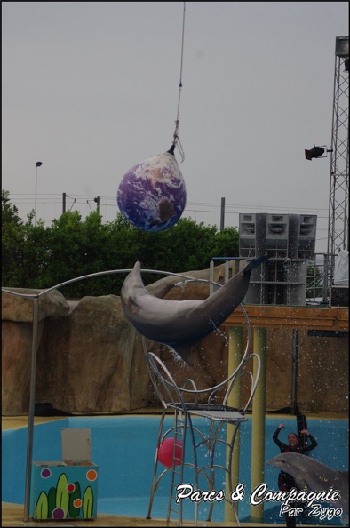 Marineland - Dauphins - Spectacle 17h15 - 079