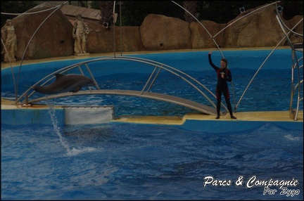 Marineland - Dauphins - Spectacle 17h15 - 083