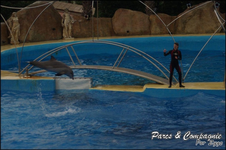 Marineland - Dauphins - Spectacle 17h15 - 084