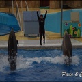 Marineland - Dauphins - Spectacle 17h15 - 085