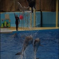 Marineland - Dauphins - Spectacle 17h15 - 087