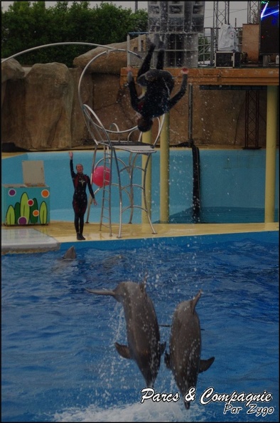 Marineland - Dauphins - Spectacle 17h15 - 089