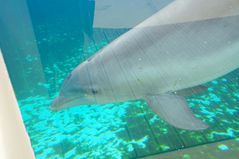 Marineland-015.JPG