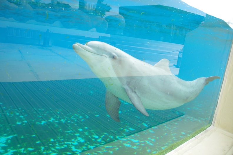 Marineland-017.JPG