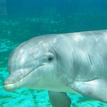 Marineland-019.JPG