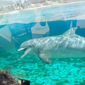 Marineland-021