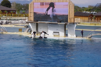 Marineland-031