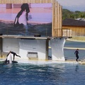 Marineland-032.JPG