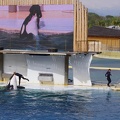 Marineland-032