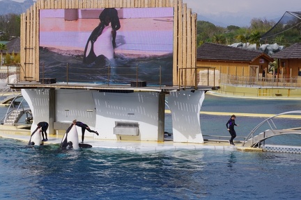 Marineland-032