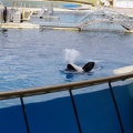 Marineland-033