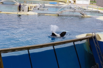 Marineland-033