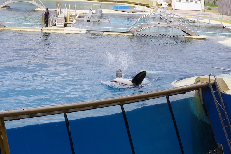 Marineland-034.JPG