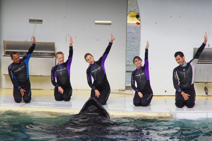 Marineland-036