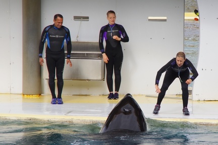 Marineland-038