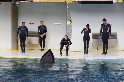 Marineland-039