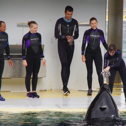 Marineland - 08 Avril 2018
