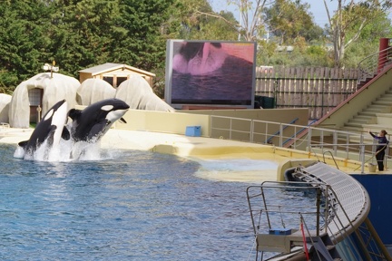 Marineland-081