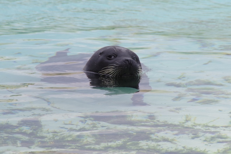 Marineland-084.JPG