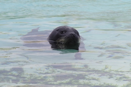 Marineland-084