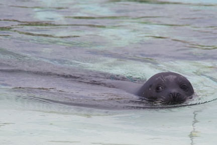 Marineland-085