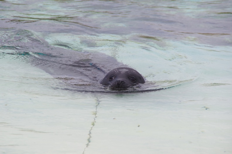 Marineland-088.JPG