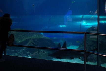 Marineland-099