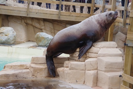 Marineland-079