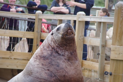 Marineland-081