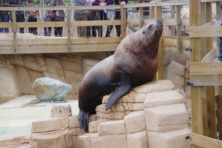 Marineland-084