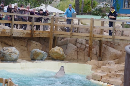 Marineland-088