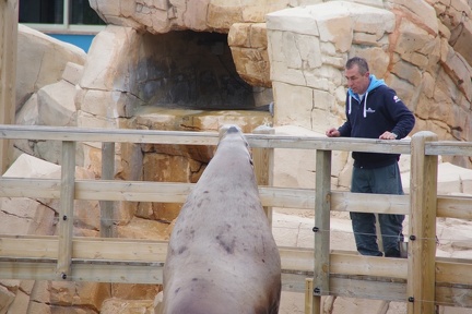 Marineland-089