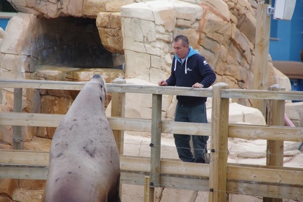 Marineland-090