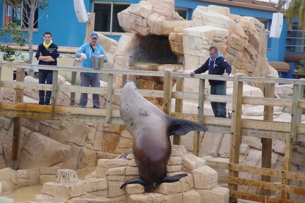 Marineland-092